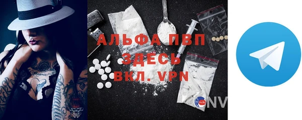трава Белокуриха