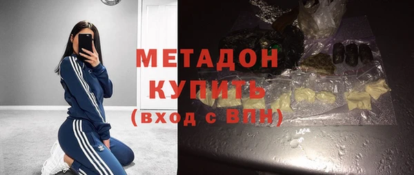 стаф Богданович