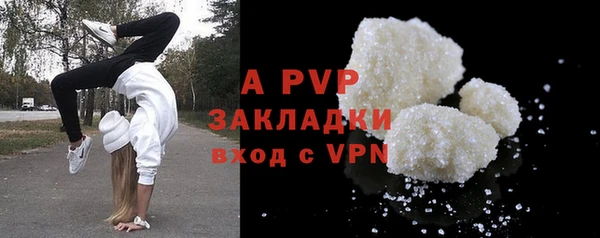 spice Богородицк