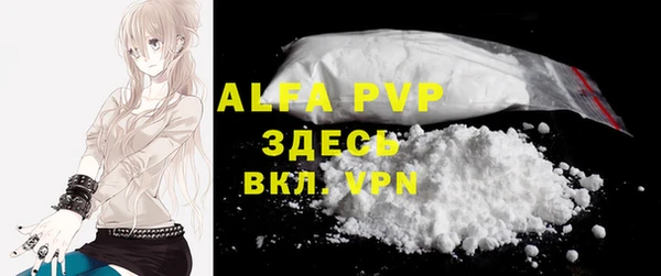 spice Богородицк