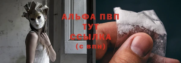 spice Богородицк