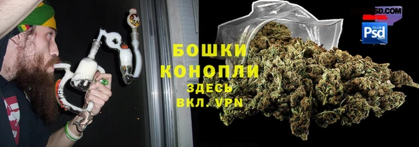трава Белокуриха